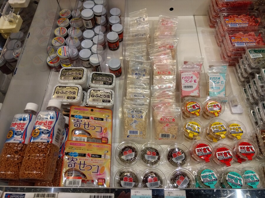 2025ワカサギ釣り餌・続々入荷中です。｜AZem アゼム｜北海道札幌市