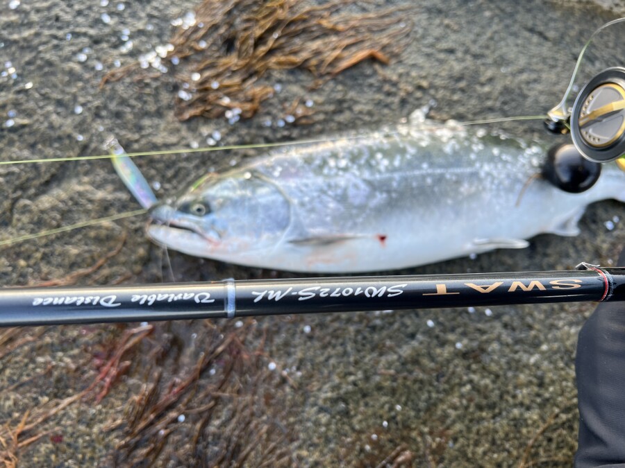 天龍　スワット　ＳＷ１０７２Ｓ-ＭＬ　保証書付き（値引き中） テンリュウ(TENRYU) スワット(SWAT) SW1072S-ML (Variable Distance